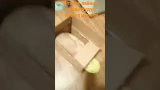 рыжая машина