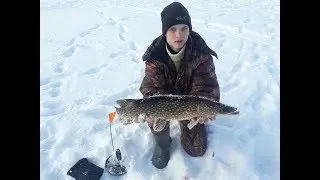 ТРОФЕЙ!!! РЫБАЛКА НА ЖЕРЛИЦЫ НА РЫБИНСКОМ ВОДОХРАНИЛИЩЕ . ЛОВЛЯ ЩУКИ.