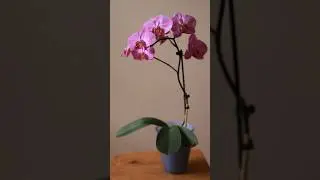 Новое видео уже на канале ❤️