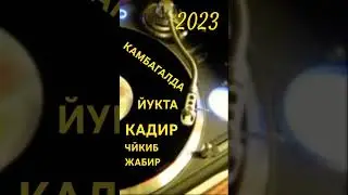 Битсам шйрлар 2023 г.
