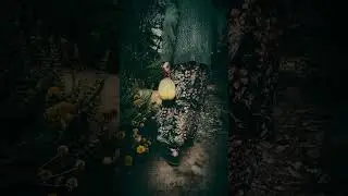🤣🤣😂😂