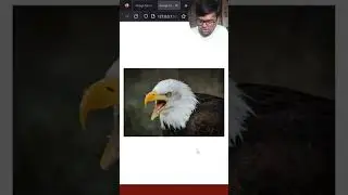 Amazing Hover Zoom Effect: Create Stunning Image Zoom with HTML and CSS 