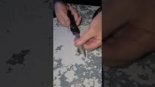 Hifinder Ultratech 'Delta Frag BLACK' от Vespa  не смогли убить