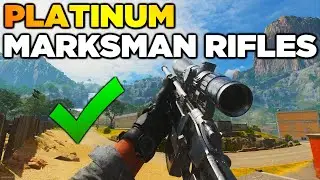 Platinum Marksman Rifles Unlocked! (Road to Orion Camo Modern Warfare 2)