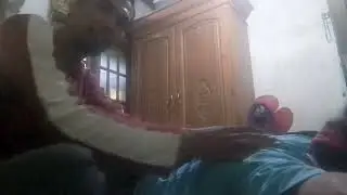 Pijat  panggilan2024||pijat kebugaran wanita Mbah maryono