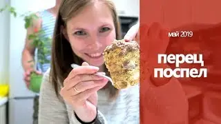 ПЕРЕЦ ПОСПЕЛ кому обещал семена // ГФК