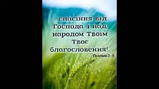 Христианские песни. "Вірю я". Александр Харахай.