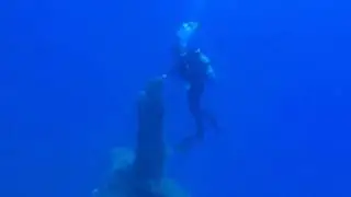 Кипр, Ларнака-дайвинг 15/06/2017 Zenobia