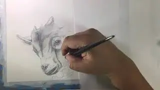 Silverpoint Art 113 C