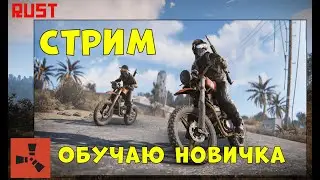 Rust Играю с новичком/Раст/Rust