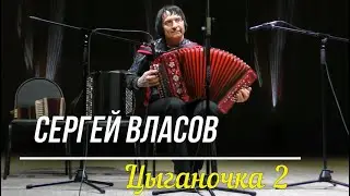 гармонист Сергей Власов  