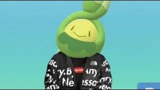 Budew type beat