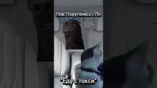 Футажи/Фоны в моём Тгк: Шапка Бурри, Жиза?💤🌷