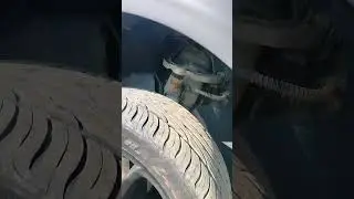 Почти свежий каен