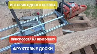 Напилил себе редкие доски. Зацени как красиво.