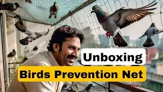 Effective Bird Control: Review of 12*10 Robust Bird-Prevention Net | UV-Stabilized Polyethylene Mesh