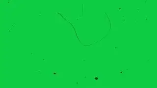 Green Screen   Damage film effects   old film grain overlay   scratches