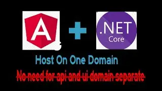Configure and Deploy dot Net Core API with Angular 8 front end Together Host on same domain