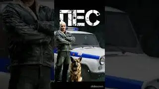 пес саундтрек тема преступления