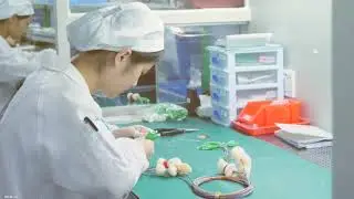Key2Optics Total OTN Solution