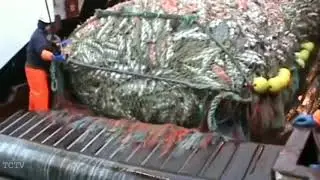 Sekali Tangkapan Ikan, Bisa Kaya Mendadak