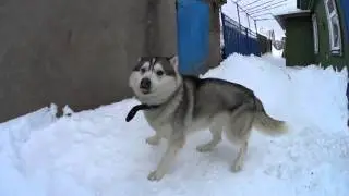 Slow motion sony az1