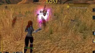World Of Warcraft Quest Info: A Growing Threat
