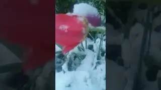 7 августа 2024 г.
