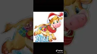 год быка здрасвуй! прикикол из тик тока
