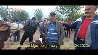 #Мастчоҳ