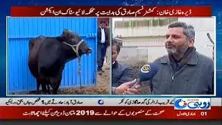 Livestock Department Action On Direction Of Commissioner Naseem Sadiq