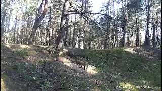 Рыбалка удалась