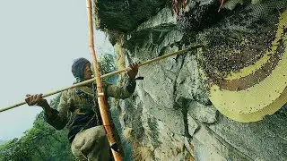 Wild Honey Harvesting Satisfying On The Cliff Without Protection!!! 🐝🐝🐝 @honeycomb