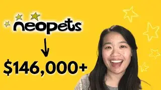 My Journey into Software Engineering (thanks neopets)