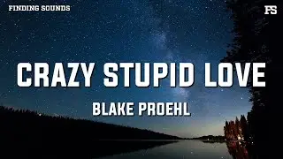 Blake Proehl - Crazy Stupid Love (Lyrics)