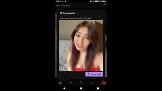 IG Downloader Demo #1