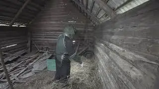 ЧТО БУДЕТ С ПЧЁЛАМИ?!  #латвия #пчелыначинающим