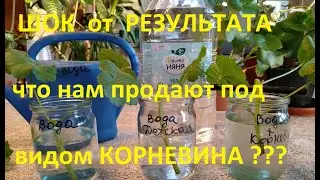 Аут от результата. Что нам продают под видом корневина?