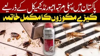 Pest Control Service Provider | Rawalpindi | Islamabad | Pakistan | Ecopest Controls