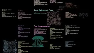 How to Communicate Like a Tree?