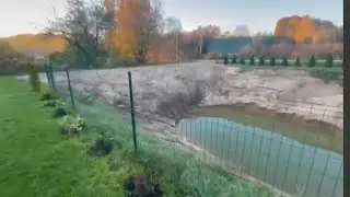 болею....прислали видео чтобы не грустила...#дача 2024