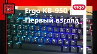 Обзор клавиатуры Ergo KB-950 | Первый взгляд
