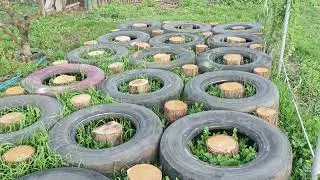 Настил под сено.