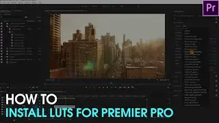 How to Install LUTs for Premiere Pro