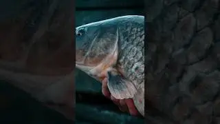 небольшой отрывок с предстоящего  фильма. Который появится в пятницу на ваших экранах. #2024