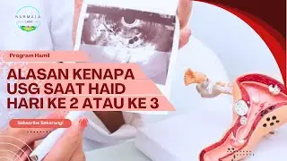 USG Transvaginal hari ke 2 haid untuk Program Hamil |2024
