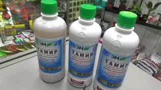 О Тамире.