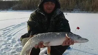 ВОТ ЭТО ДА!!! Снова нарвался на крупных щук. Рыбалка удалась!