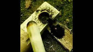 How To make Fire From a Stick #campinginthewoods #corporalscorner #survival