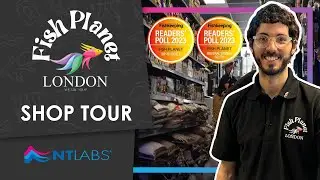 Award-Winning Aquatic Store! | Welcome to Fish Planet London